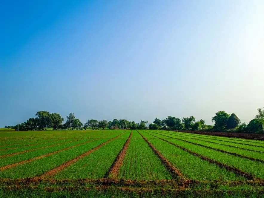 farmland-photo-forbes-getty-image